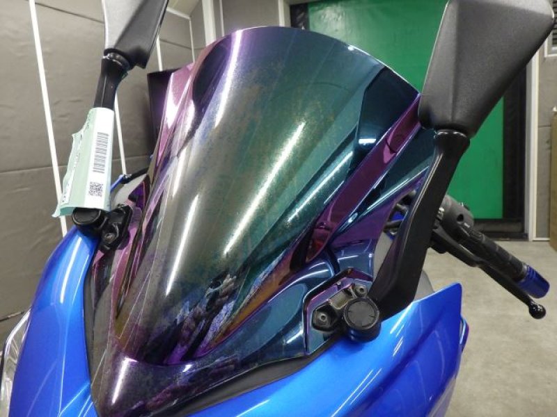 Kawasaki Bike NINJA250-2