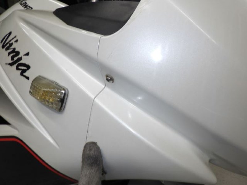 Kawasaki Bike NINJA250R