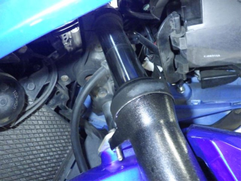 Suzuki Bike GSX250R