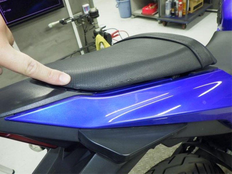Suzuki Bike GSX250R
