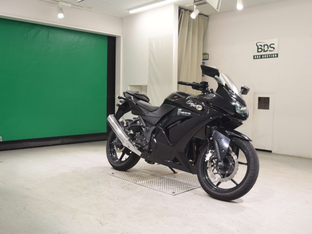 Kawasaki Ninja 250R
