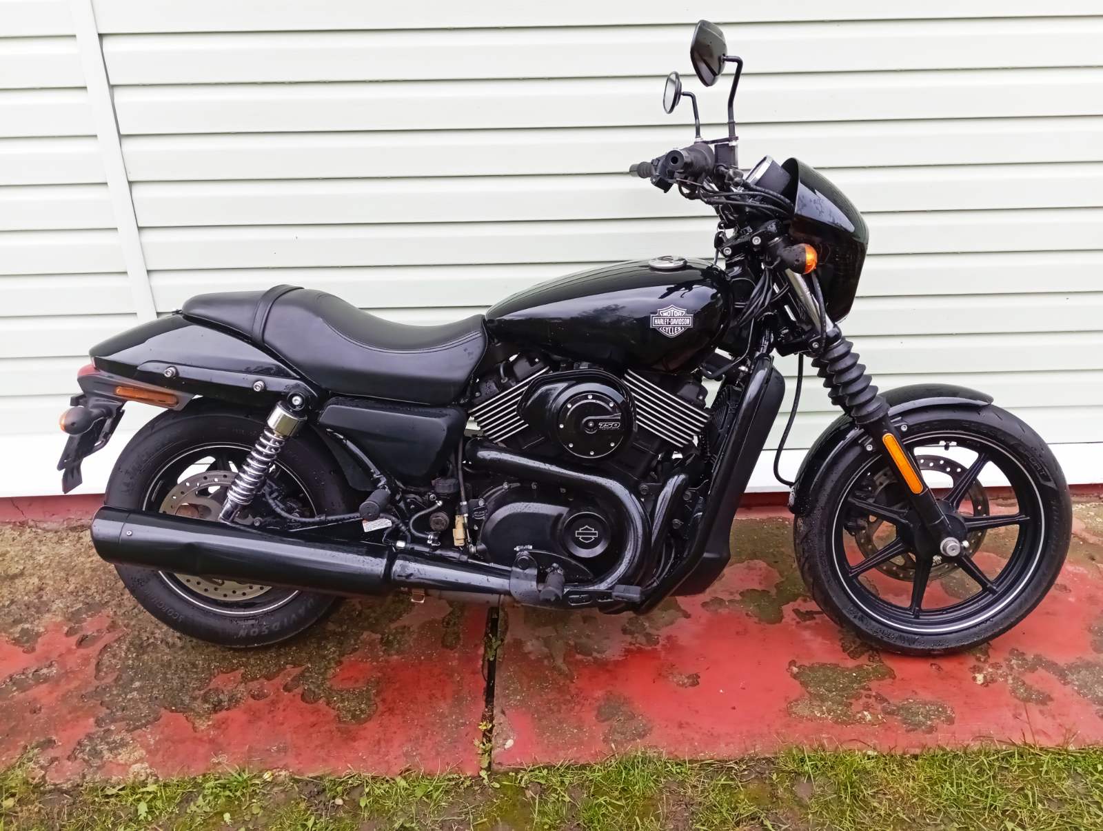 Harley- Davidson