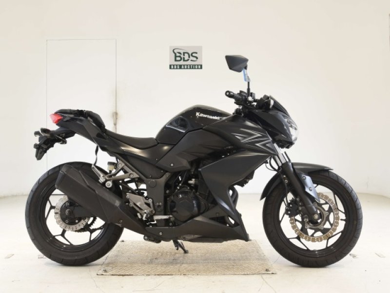 KAWASAKI Z250