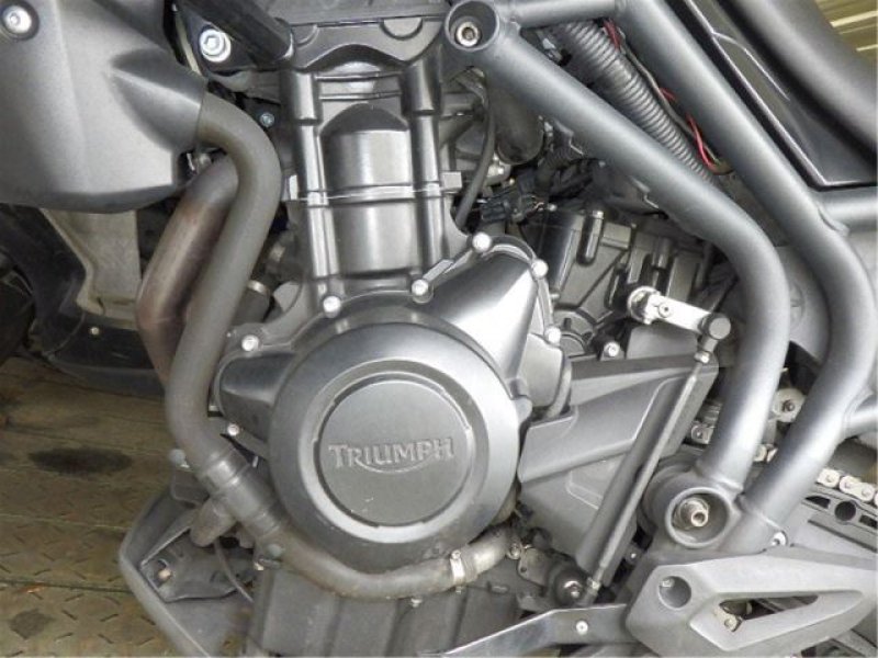 TRIUMPH TIGER 800